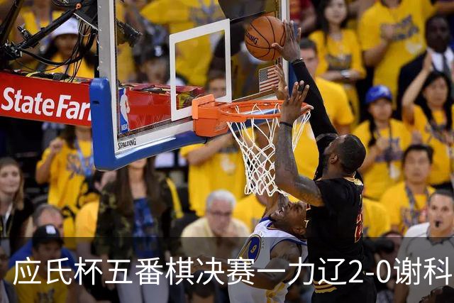 应氏杯五番棋决赛一力辽2-0谢科 率先拿到赛点